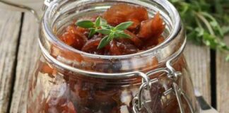 Chutney oignon facile au thermomix