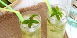 mojito weight watchers