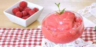 sorbet de framboises au Thermomix